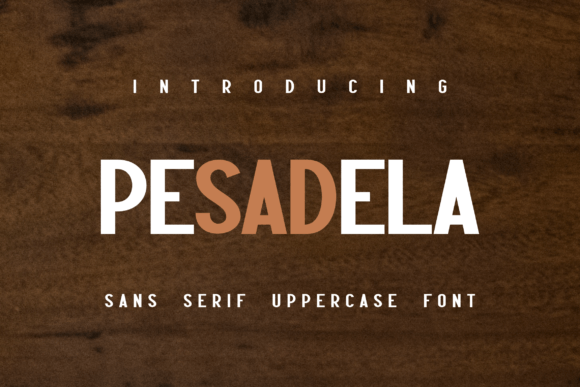 Pesadela: A Modern Font for Clear Campaigns